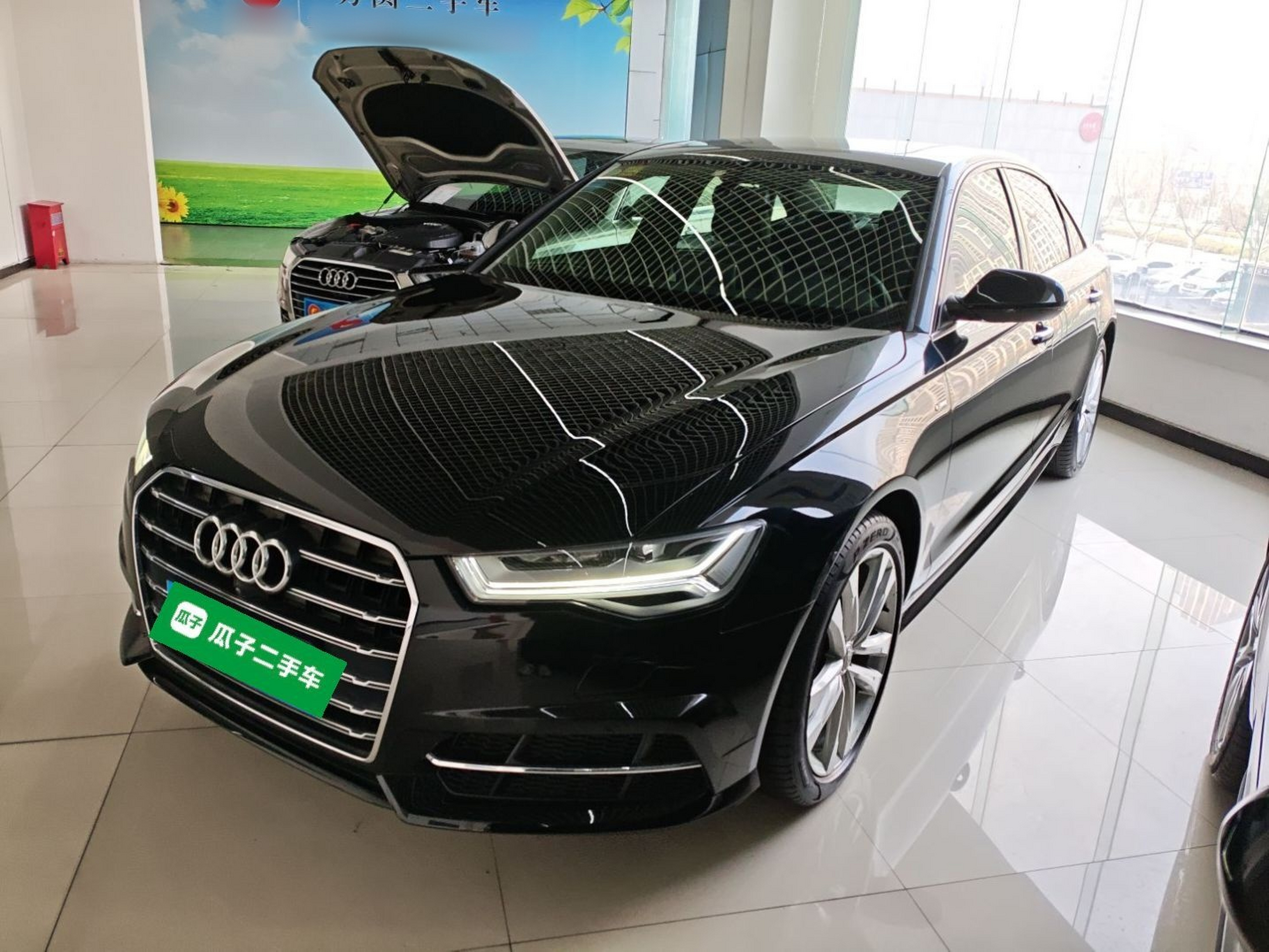 تحت مقدمة السيارة