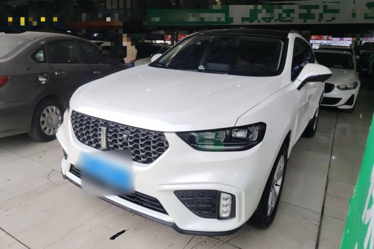 Used Wey VV5 2020 1.5T Two-Wheel Drive Color Pioneer