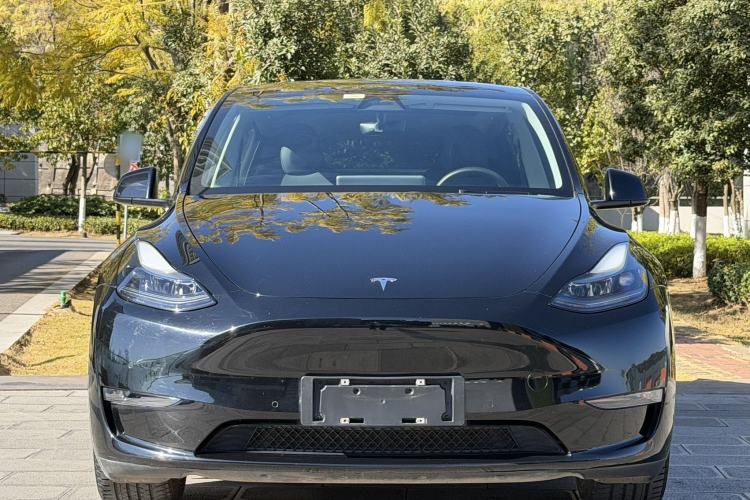Used Tesla Model Y 2021 Standard Range Rear-Wheel Drive Version