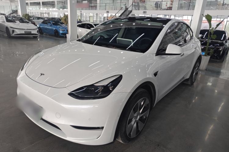 Used Tesla Model Y 2021 Standard Range Rear-Wheel Drive Version