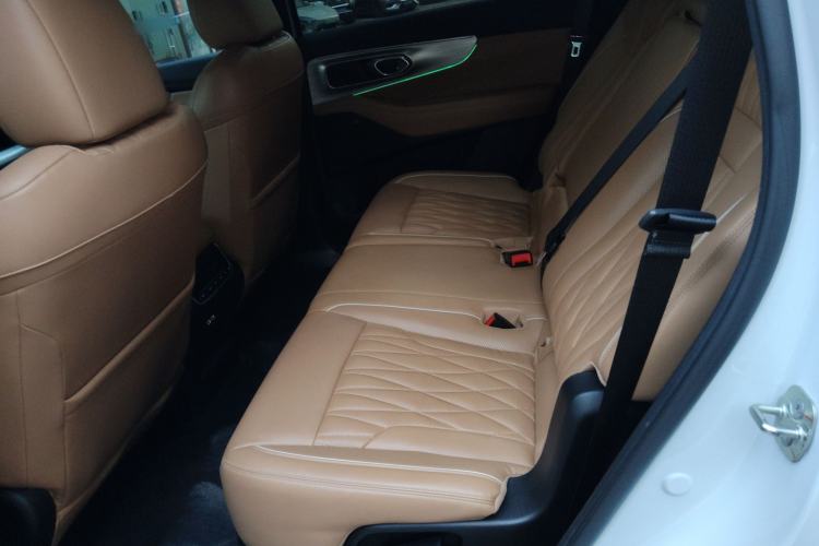 Used GAC Trumpchi GS8 2024 Linghang Series 2.0 TGDI Two-Wheel Drive Luxury Smart Connectivity Version