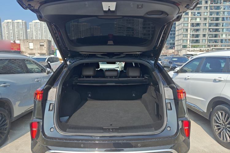 Used Wey Mocha 2021 2.0T Two-Wheel-Drive Ultra-Strong Version