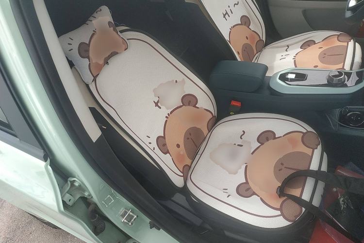 Used Oshan Benni E-Star 2020 Xinyue Edition Lithium Iron Phosphate (31.18 kWh)
