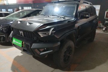 Used Brave warrior 917 2023 Range-Extended Base Model