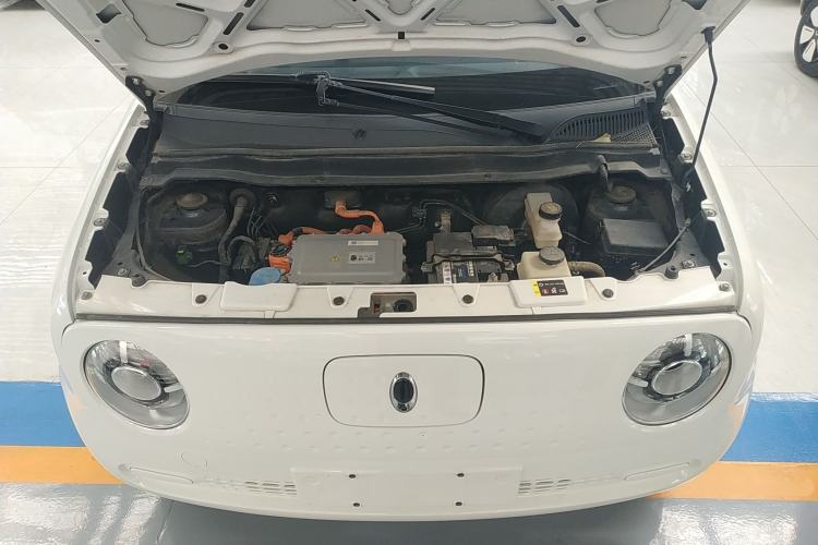 Used ORA Black Cat 2021 301 km Basic Version