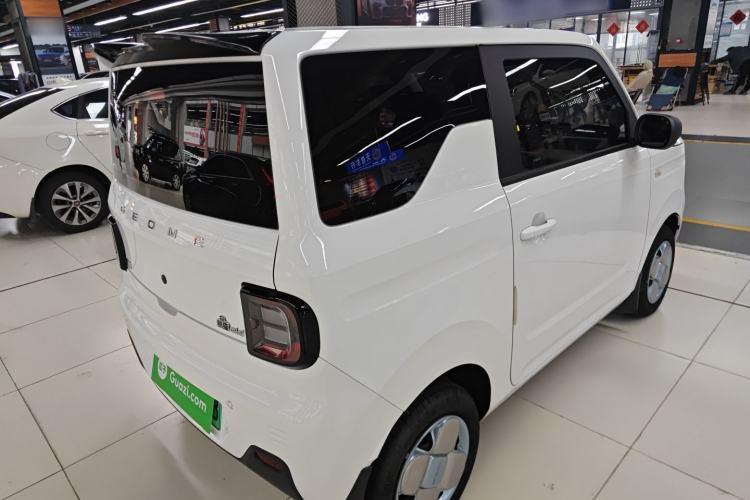 Used  Panda 2023 Panda Mini 200km Endurance Bear
