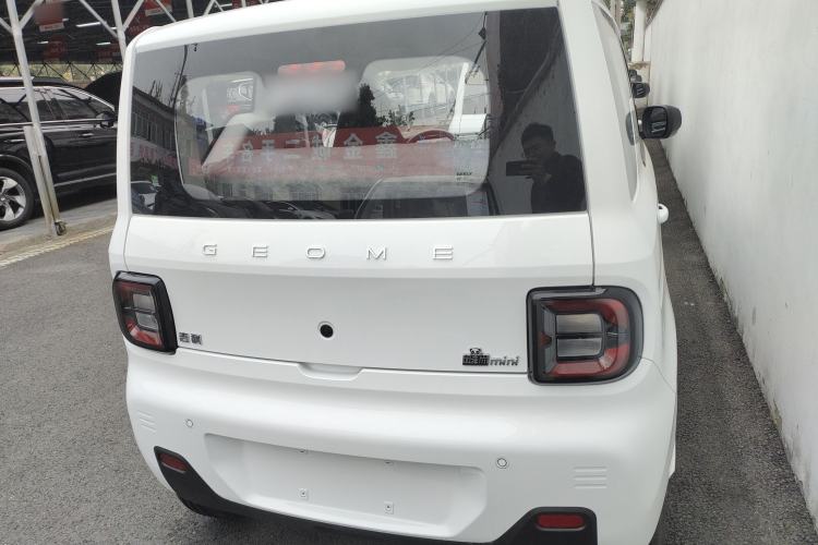 Used  Panda 2024 Panda Mini 200km Endurance Bear
