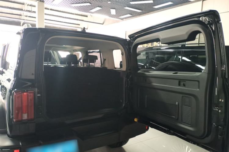 Used Tank 300 2024 2.0T Conqueror
