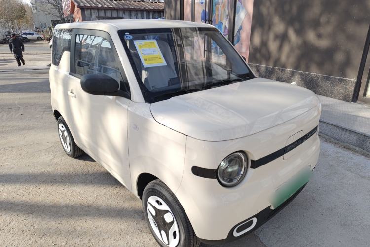 Used  Panda 2025 210 km – Yuanqi Bear
