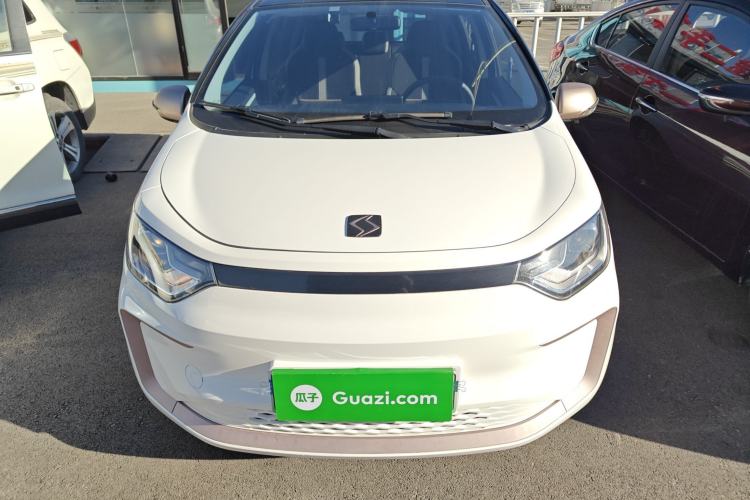 Used SOL E10X 2022 Flower Fairy Design Four-Leaf Clover