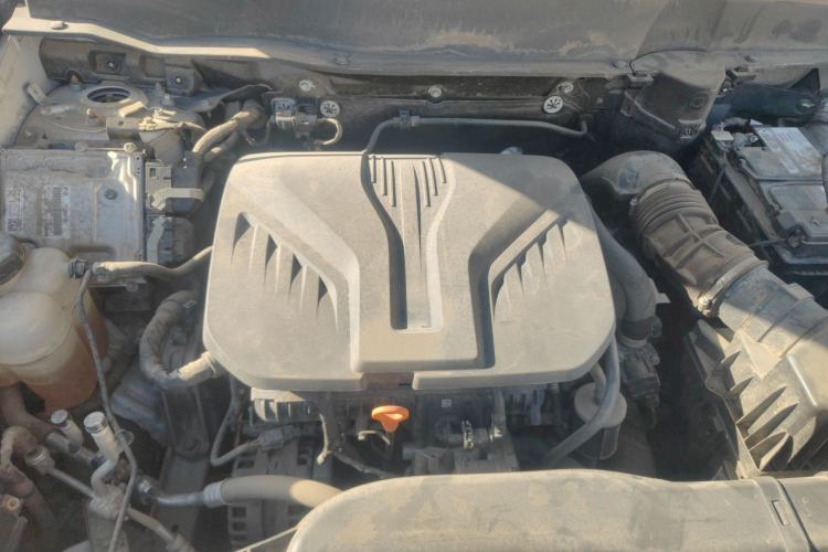 Used Haval DARGO 2021 2.0T DCT 4x4 Chinese Rural Dog Edition
