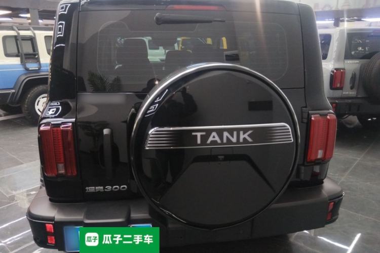 Used Tank 300 2024 2.0T Challenger
