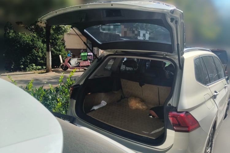 Used Volkswagen Tiguan L 2021 280TSI Automatic Two-Wheel Drive Smart Edition
