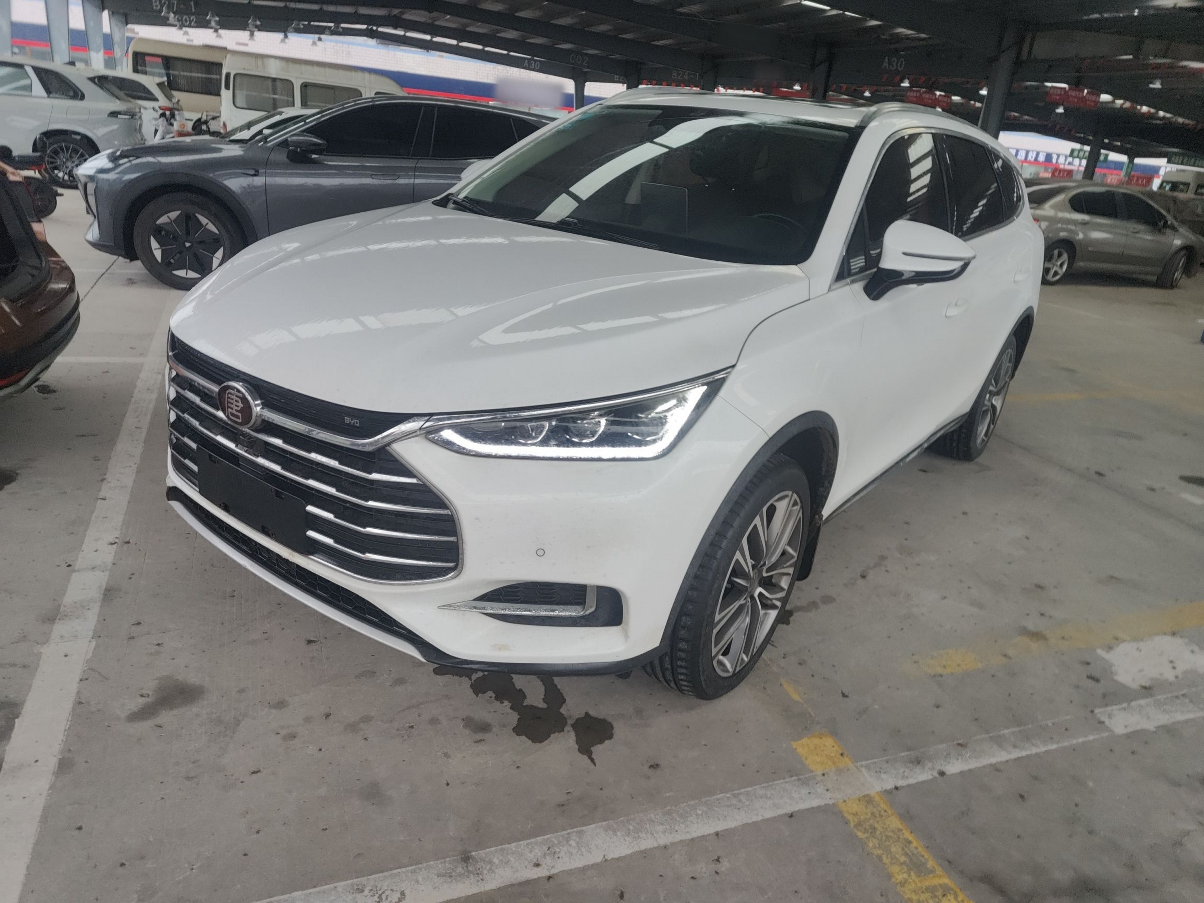 تحت مقدمة السيارة