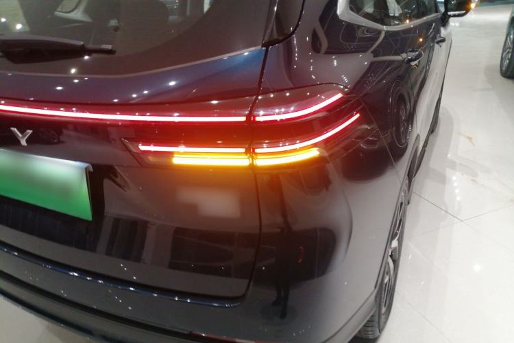 Used Wey Mocha New Energy 2024 Hi4 Four-Wheel Drive Long-Range Version