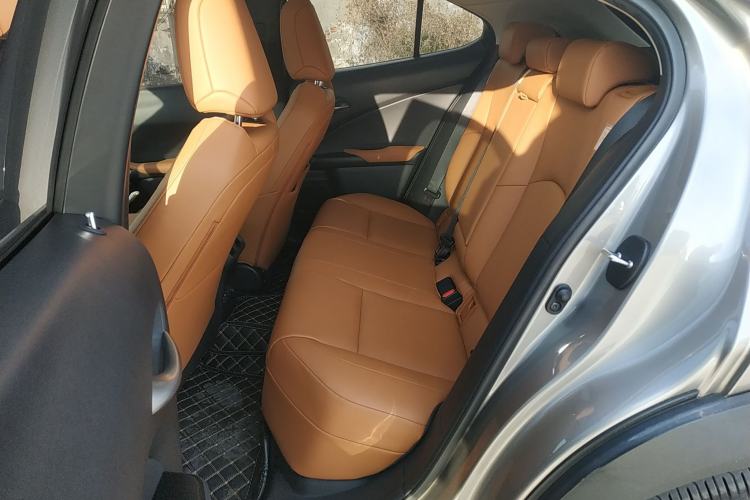 Used Lexus UX New Energy 2020 300e Pure·Joy Edition