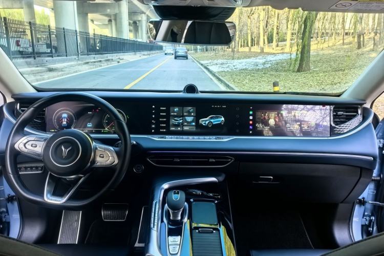 Used VOYAH FREE 2021 Four-Wheel Drive Standard Range-Extended Exclusive Luxury Package
