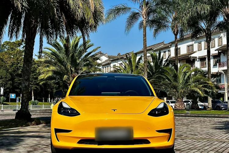 Used Tesla Model 3 2021 Revised Version Standard Range Rear-Wheel Drive Upgraded Edition 3D1