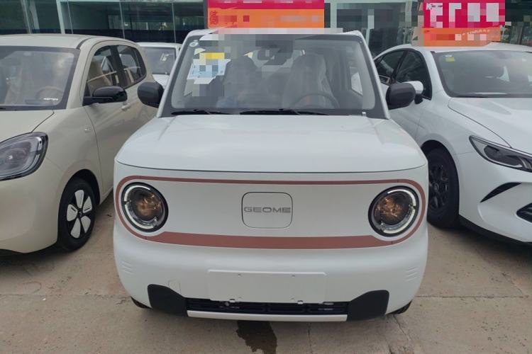 Used  Panda 2024 Panda Mini 200km Endurance Bear
