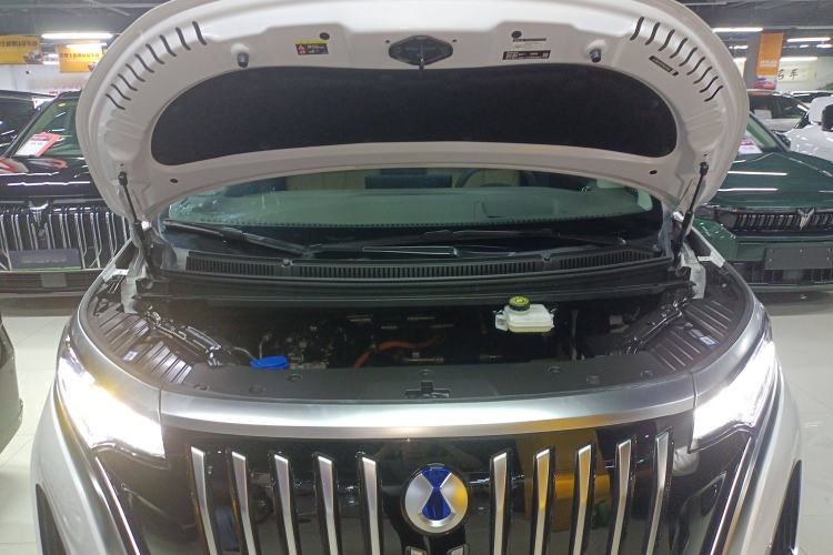 Used Denza D9 2022 EV 600 Four-Wheel Drive Flagship Model
