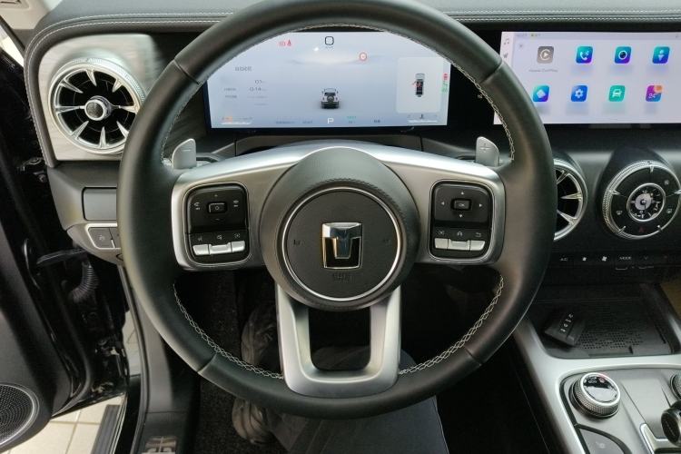 Used Tank 300 2024 2.0T Crosser
