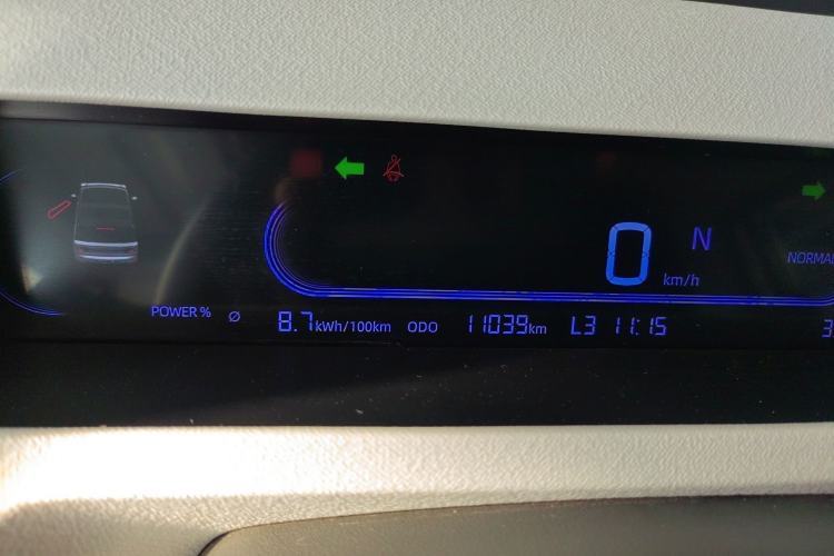 Used  Panda 2024 Panda Mini 200km Endurance Bear
