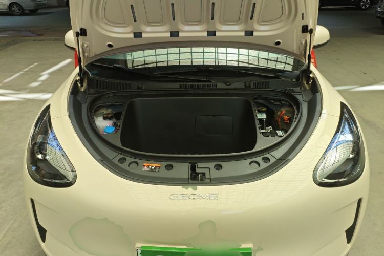 Used  Geome 2025 410 km Free Version
