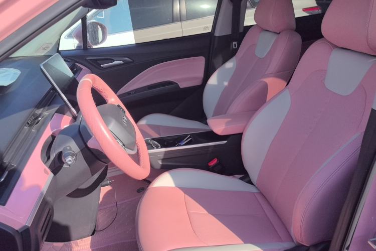 Used NETA V 2021 Witch Edition