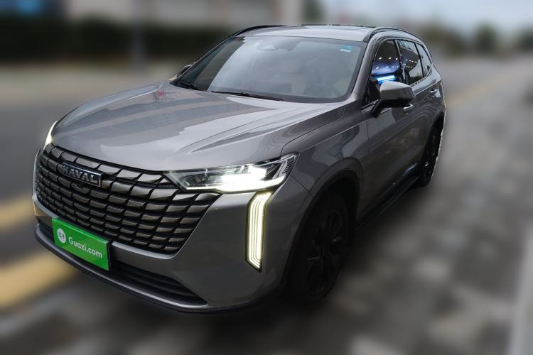 Used Haval H6 2024 2.0T Two-Wheel Drive Max