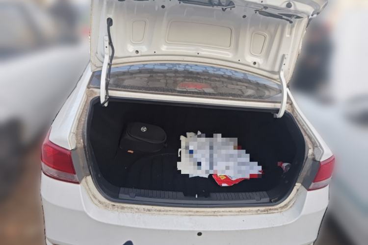 Used  300E 2017 Standard Model