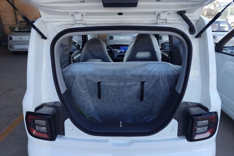 Used  Panda 2024 Panda Mini 200km Endurance Bear