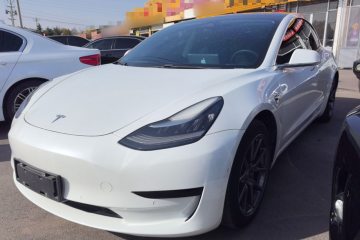 Used Tesla Model 3 2020 Standard Range Rear-Wheel Drive Upgraded Version