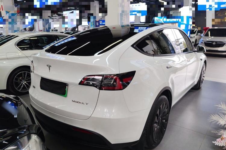 Used Tesla Model Y 2021 Standard Range Rear-Wheel Drive Version
