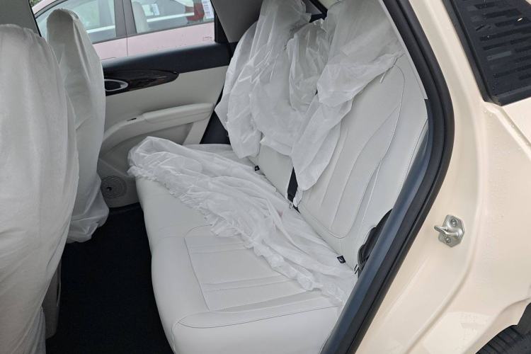 Used  Geome 2025 310km Youth Edition
