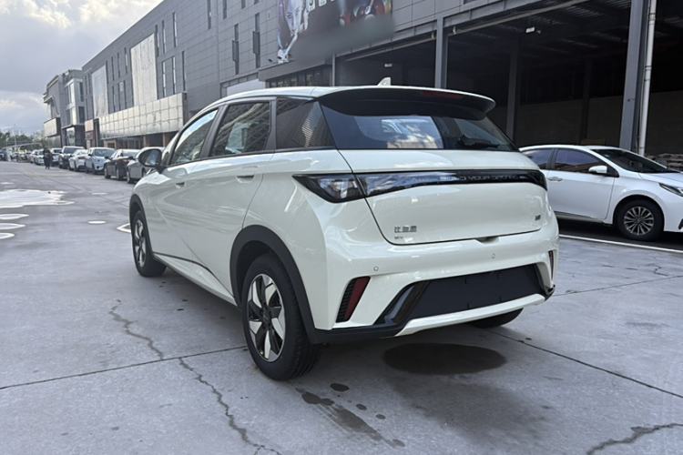 Used BYD Dolphin 2025 420km Free Edition
