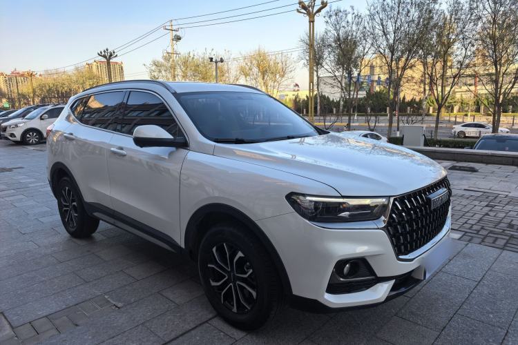 Used Haval H6 2023 National Trend Edition 1.5T Automatic Urban Version