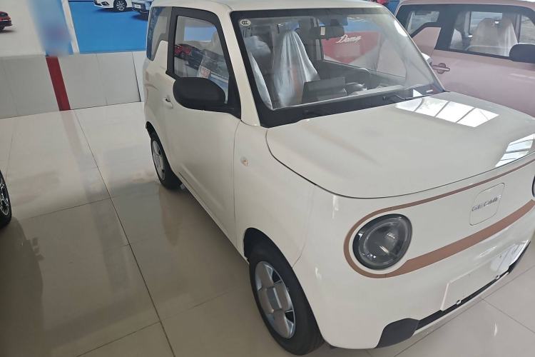 Used  Panda 2024 Panda Mini 200km Endurance Bear
