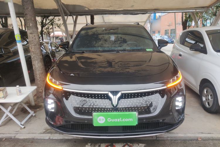 Used VOYAH COURAGE 2024 Four-Wheel Drive Global Edition
