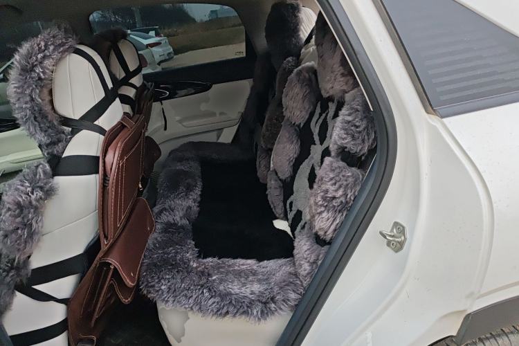 Used  Geome 2025 310km Youth Edition
