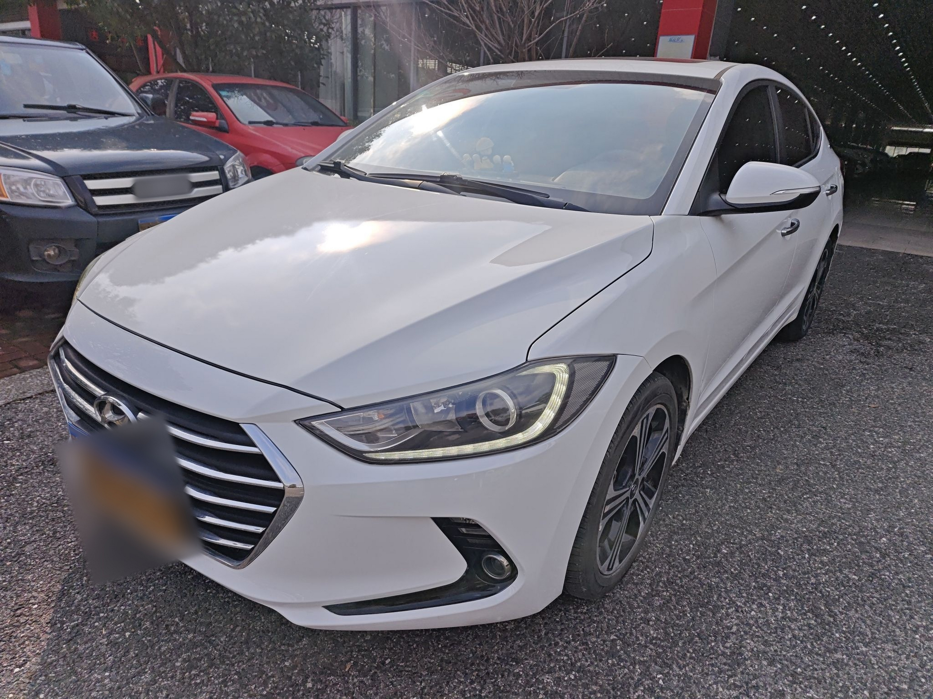 تحت مقدمة السيارة