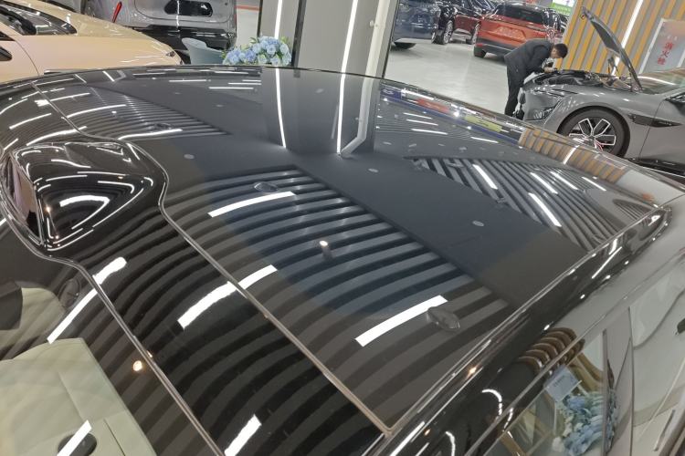 Used  06 2025 Max Extended-Range Edition
