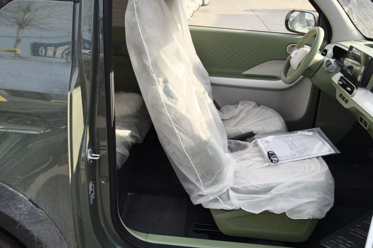 Used  Panda 2025 210km Panda Rider