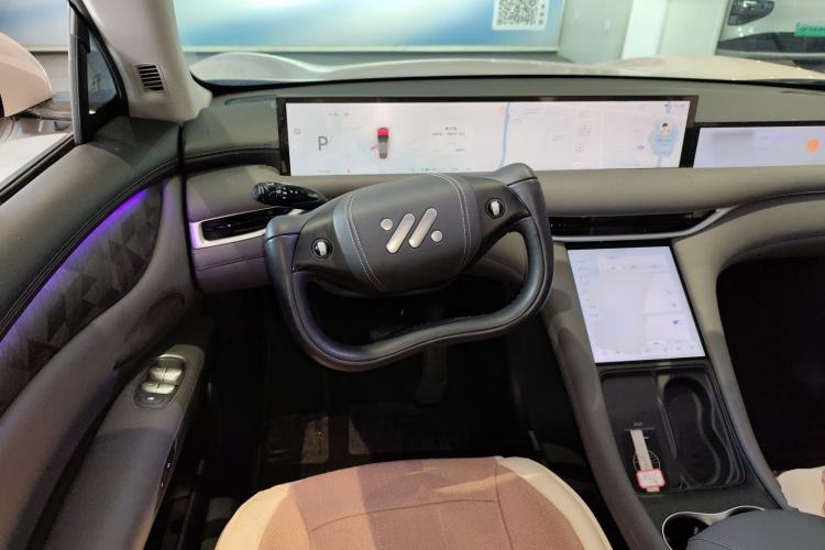 Used  LS6 2023 Max Long-Range Version