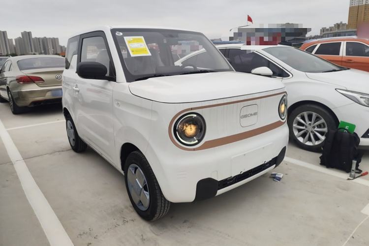 Used  Panda 2024 Panda Mini 200km Endurance Bear