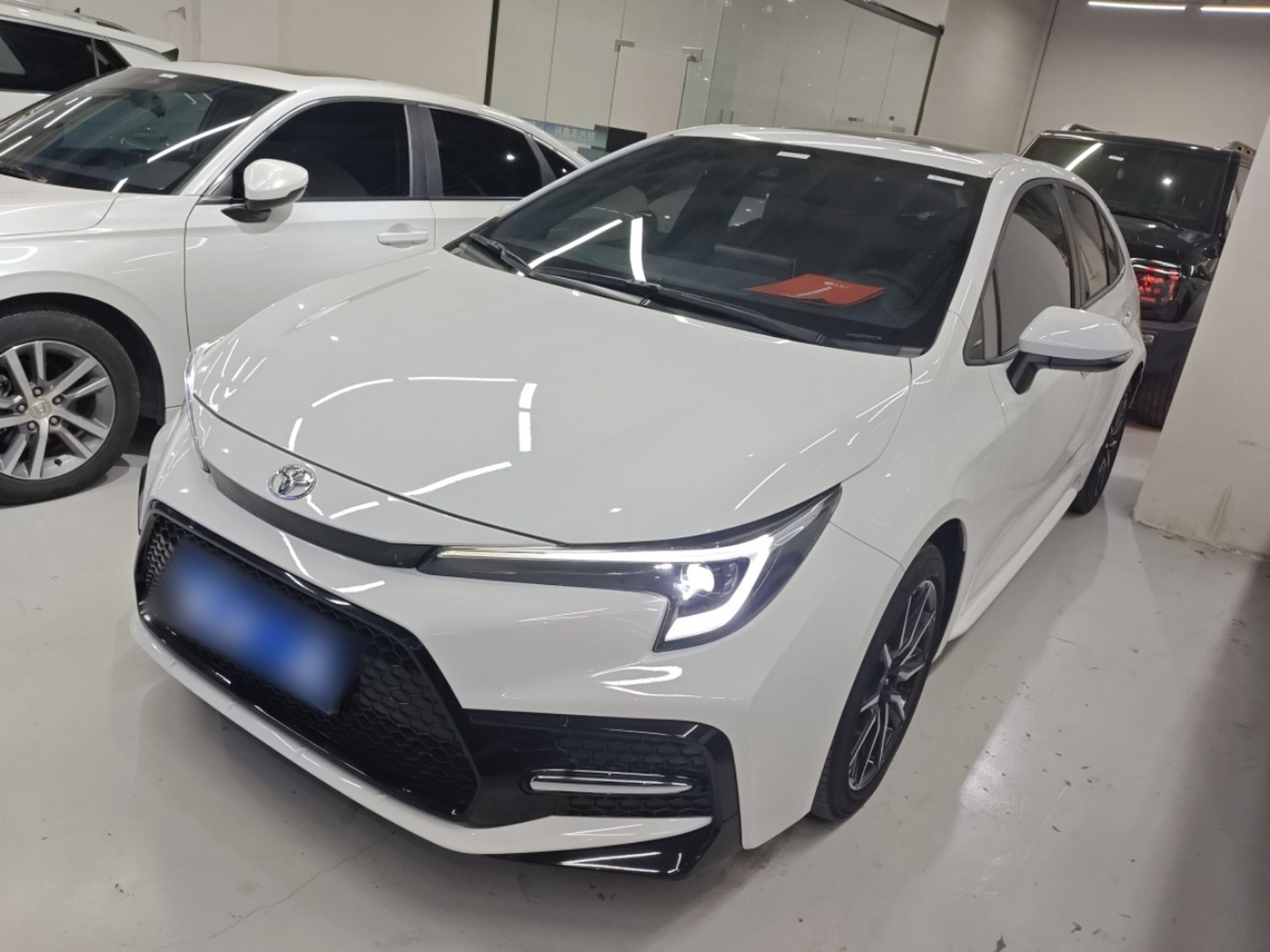 تحت مقدمة السيارة