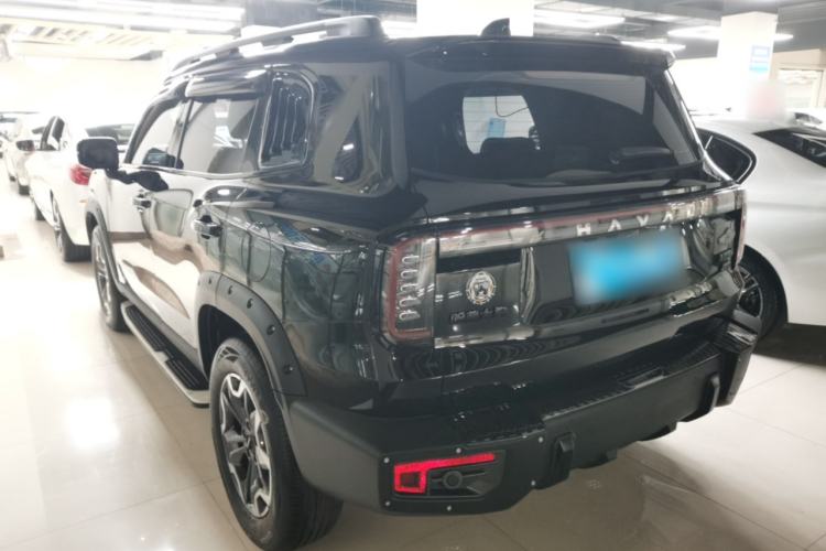 Used Haval DARGO 2024 2.0T DCT Chinese Rural Dog Edition