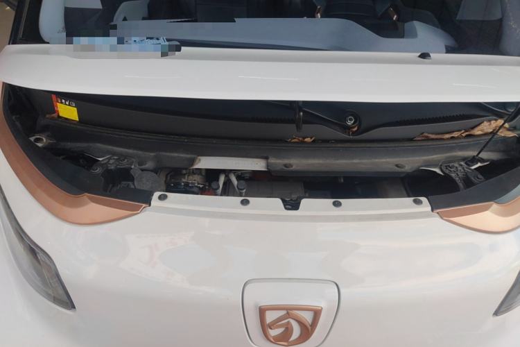 Used Baojun E200 2020 305KM Smart Drive Version
