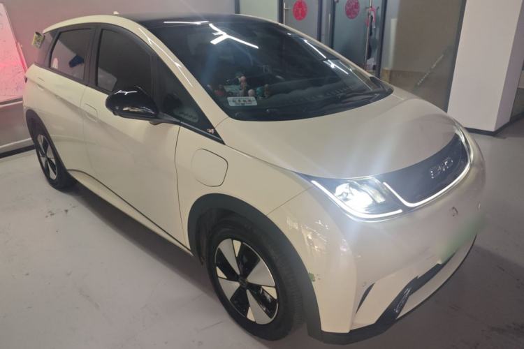 Used BYD Dolphin 2023 420 km Fashion Edition
