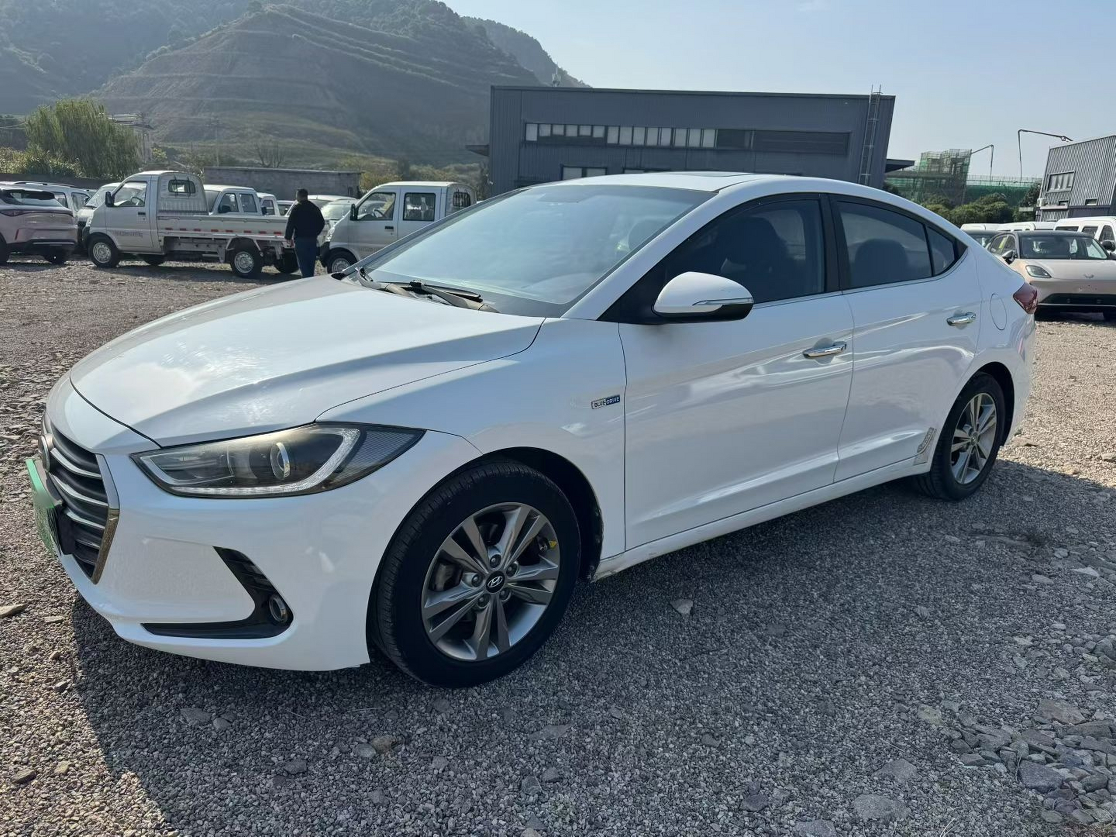 تحت مقدمة السيارة