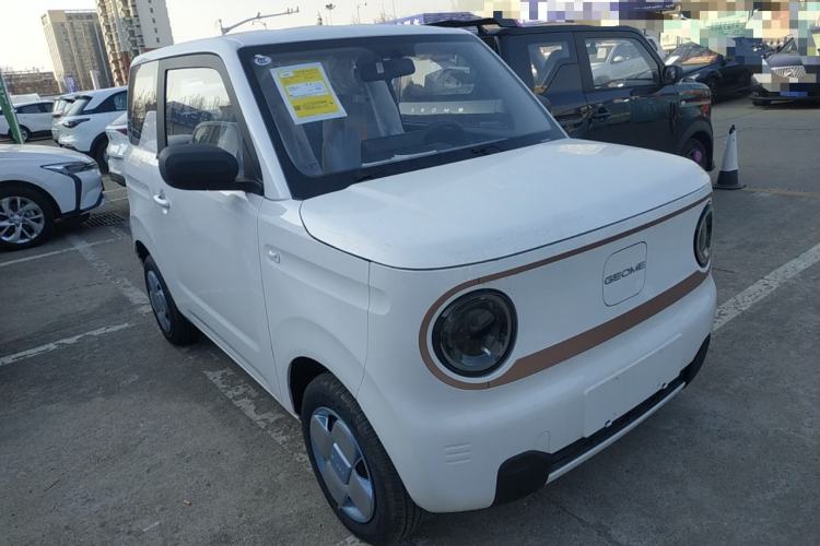 Used  Panda 2024 Panda Mini 200km Endurance Bear
